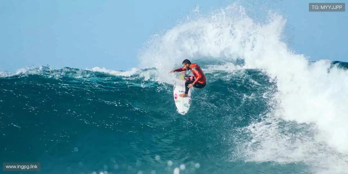 精彩纷呈，娱乐无限！🎉✨